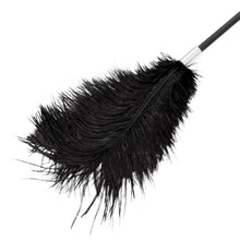 Paletă cu puf de gâdilat B-SERIES Fetish Feather Crop, pentru jocuri erotice BDSM, design cu dantelă, culoare negru