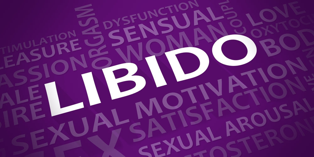 libido si apetit sexual