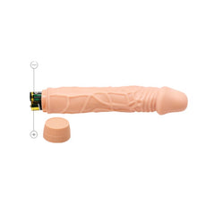 Vibrator realist BAILE Barbara Bob, din TPR moale, funcții multiple de vibrație, lungime 22.5 cm, culoarea pielii