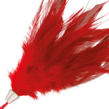 Accesoriu erotic DARKNESS Red Stimulating Feather, pentru stimulare senzorială delicată, culoare roșu